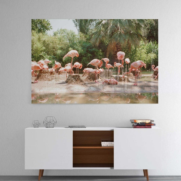 FLAMINGOS